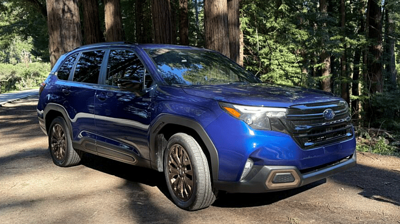 The Subaru Forester Hybrid Parked In Front Of California Redwoods